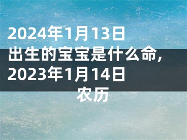 2024年1月13日出生的宝宝是什么命,2023年1月14日农历