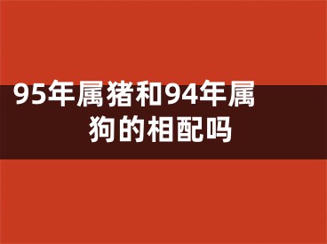 95年属猪和94年属狗的相配吗