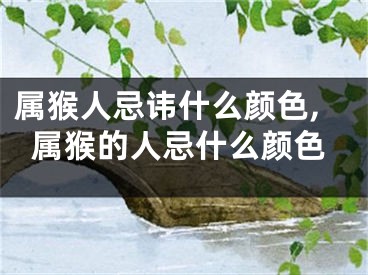 属猴人忌讳什么颜色,属猴的人忌什么颜色