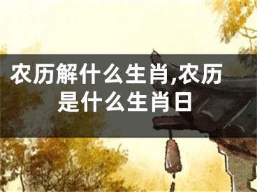 农历解什么生肖,农历是什么生肖日