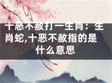 十恶不赦打一生肖：生肖蛇,十恶不赦指的是什么意思