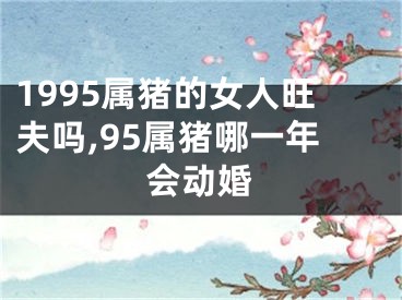 1995属猪的女人旺夫吗,95属猪哪一年会动婚