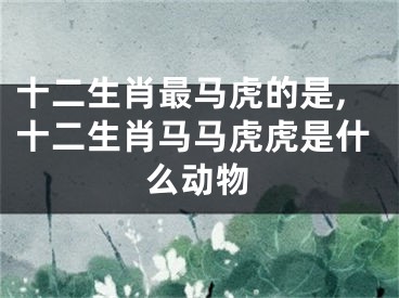 十二生肖最马虎的是,十二生肖马马虎虎是什么动物
