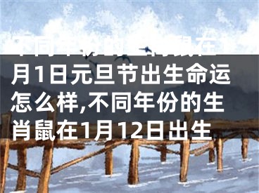 不同年份的生肖鼠在1月1日元旦节出生命运怎么样,不同年份的生肖鼠在1月12日出生