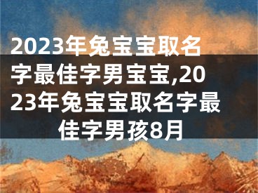 2023年兔宝宝取名字最佳字男宝宝,2023年兔宝宝取名字最佳字男孩8月