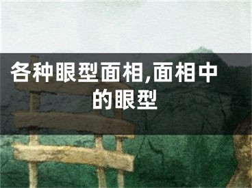 各种眼型面相,面相中的眼型