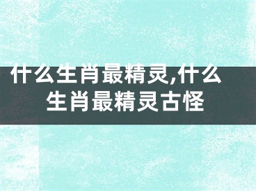 什么生肖最精灵,什么生肖最精灵古怪
