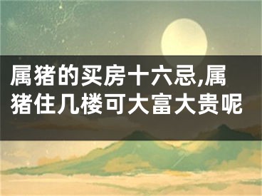 属猪的买房十六忌,属猪住几楼可大富大贵呢