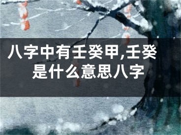 八字中有壬癸甲,壬癸是什么意思八字