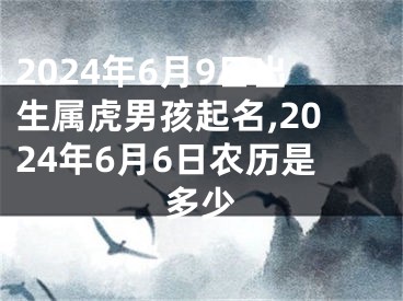 2024年6月9日出生属虎男孩起名,2024年6月6日农历是多少