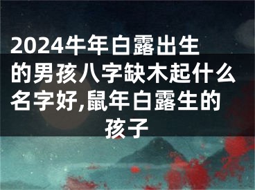2024牛年白露出生的男孩八字缺木起什么名字好,鼠年白露生的孩子