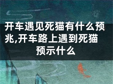 开车遇见死猫有什么预兆,开车路上遇到死猫预示什么