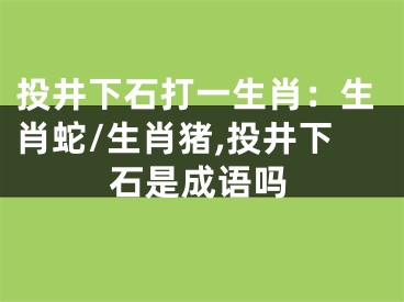 投井下石打一生肖：生肖蛇/生肖猪,投井下石是成语吗