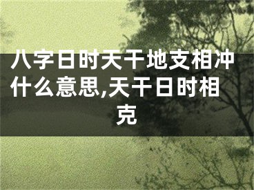 八字日时天干地支相冲什么意思,天干日时相克