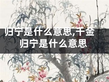 归宁是什么意思,千金归宁是什么意思