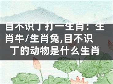 目不识丁打一生肖：生肖牛/生肖兔,目不识丁的动物是什么生肖