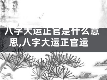 八字大运正官是什么意思,八字大运正官运