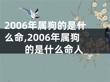 2006年属狗的是什么命,2006年属狗的是什么命人