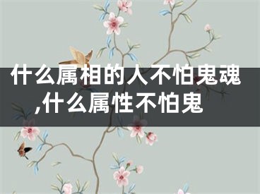 什么属相的人不怕鬼魂,什么属性不怕鬼