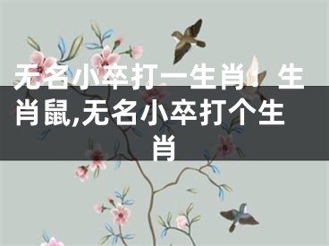 无名小卒打一生肖：生肖鼠,无名小卒打个生肖