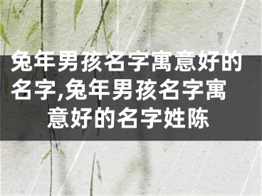 兔年男孩名字寓意好的名字,兔年男孩名字寓意好的名字姓陈