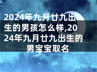 2024年九月廿九出生的男孩怎么样,2024年九月廿九出生的男宝宝取名
