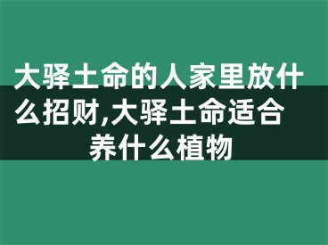 大驿土命的人家里放什么招财,大驿土命适合养什么植物