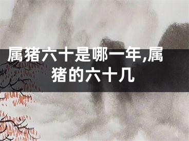 属猪六十是哪一年,属猪的六十几