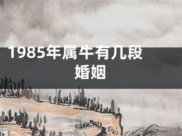 1985年属牛有几段婚姻