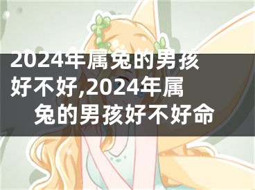 2024年属兔的男孩好不好,2024年属兔的男孩好不好命