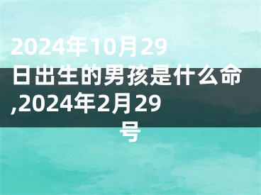 2024年10月29日出生的男孩是什么命,2024年2月29号