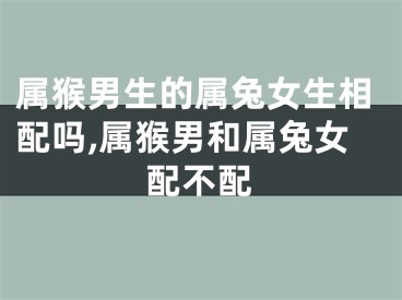 属猴男生的属兔女生相配吗,属猴男和属兔女配不配