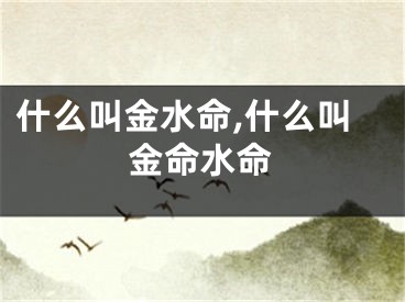 什么叫金水命,什么叫金命水命