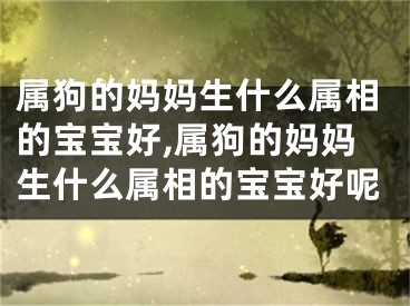 属狗的妈妈生什么属相的宝宝好,属狗的妈妈生什么属相的宝宝好呢