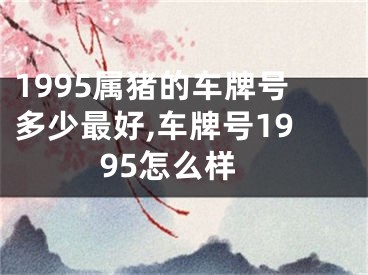 1995属猪的车牌号多少最好,车牌号1995怎么样