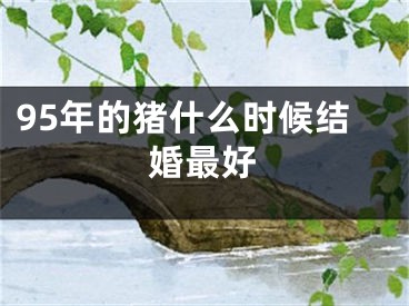 95年的猪什么时候结婚最好