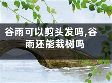 谷雨可以剪头发吗,谷雨还能栽树吗