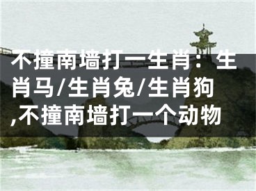 不撞南墙打一生肖：生肖马/生肖兔/生肖狗,不撞南墙打一个动物