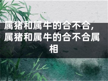 属猪和属牛的合不合,属猪和属牛的合不合属相
