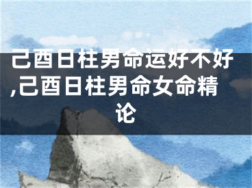 己酉日柱男命运好不好,己酉日柱男命女命精论