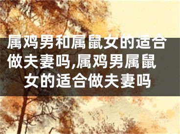 属鸡男和属鼠女的适合做夫妻吗,属鸡男属鼠女的适合做夫妻吗