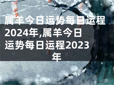属羊今日运势每日运程2024年,属羊今日运势每日运程2023年