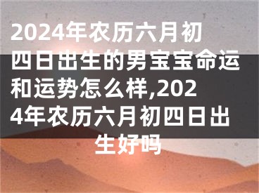 2024年农历六月初四日出生的男宝宝命运和运势怎么样,2024年农历六月初四日出生好吗
