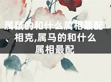 属鼠的和什么属相最配、相克,属马的和什么属相最配
