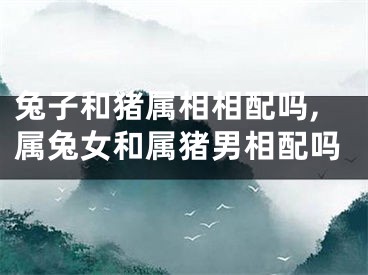 兔子和猪属相相配吗,属兔女和属猪男相配吗