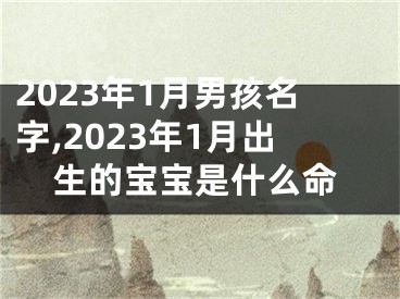 2023年1月男孩名字,2023年1月出生的宝宝是什么命