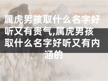 属虎男孩取什么名字好听又有贵气,属虎男孩取什么名字好听又有内涵的