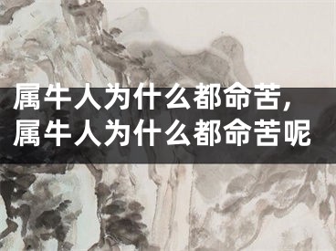 属牛人为什么都命苦,属牛人为什么都命苦呢