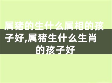 属猪的生什么属相的孩子好,属猪生什么生肖的孩子好