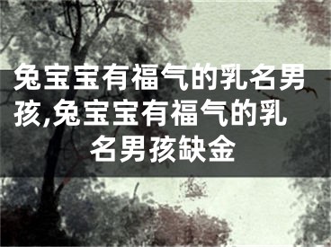兔宝宝有福气的乳名男孩,兔宝宝有福气的乳名男孩缺金